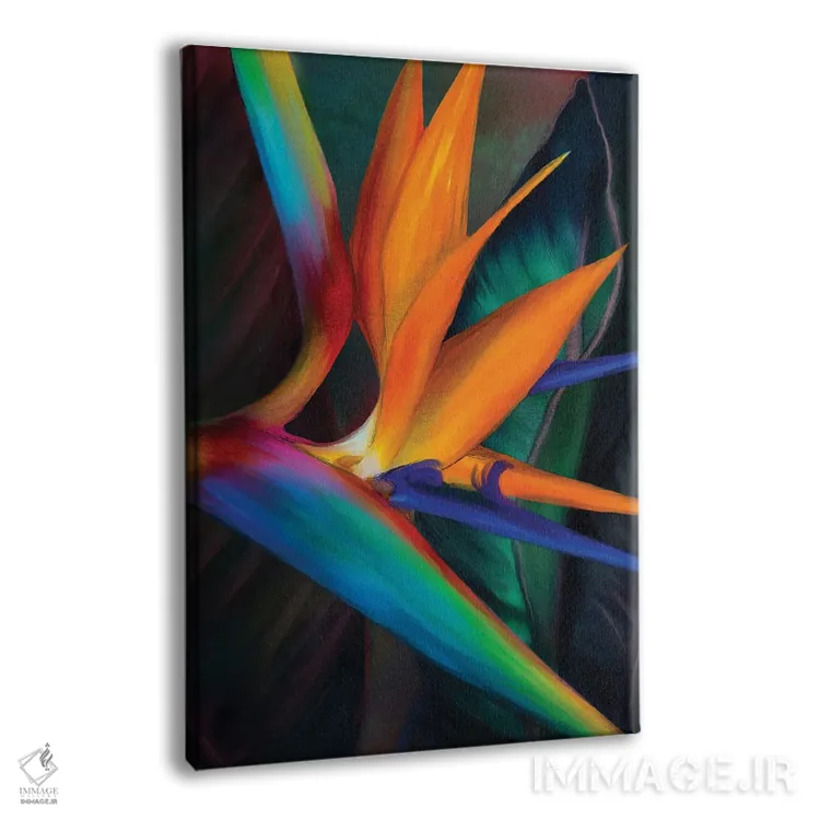 تابلو دکوراتیو پرندگان بهشت اثر جولیانا لوومر - نمای پرسپکتیو محصول