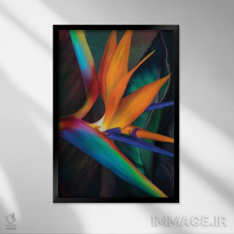 تابلو دکوراتیو پرندگان بهشت اثر جولیانا لوومر - نمای قابدار مشکی