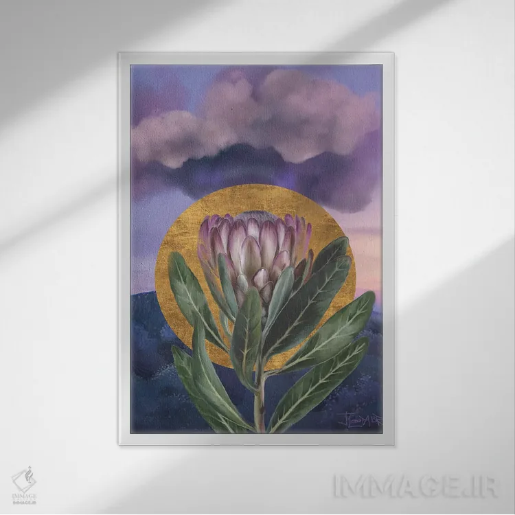 تابلو دکوراتیو طلوع پروتئای بنفش اثر جولیانا لوومر - نمای قابدار سفید