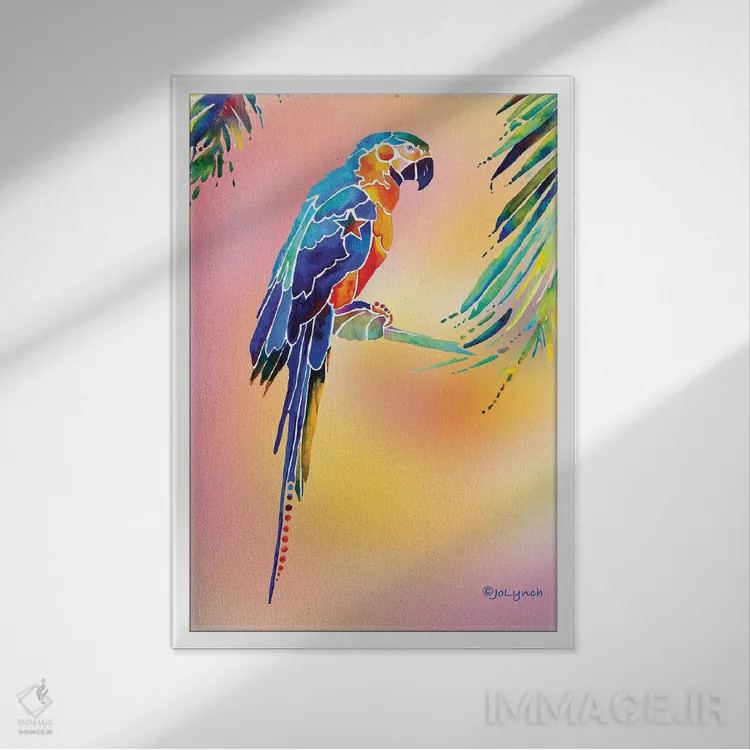 تابلو دکوراتیو طوطی گرمسیری اثر جو لینچ - نمای قابدار سفید