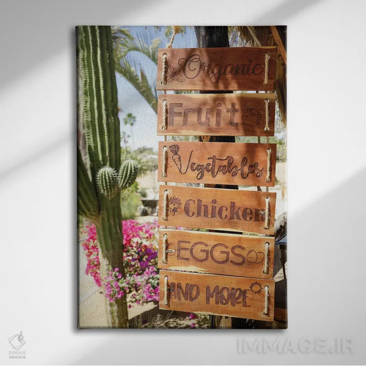 تابلو دکوراتیو Mexico.,تابلوی محصولات کشاورزی، کابو سن لوکاس، مکزیک اثر ژولین مک رابرتس - نمای روبهرو روی دیوار