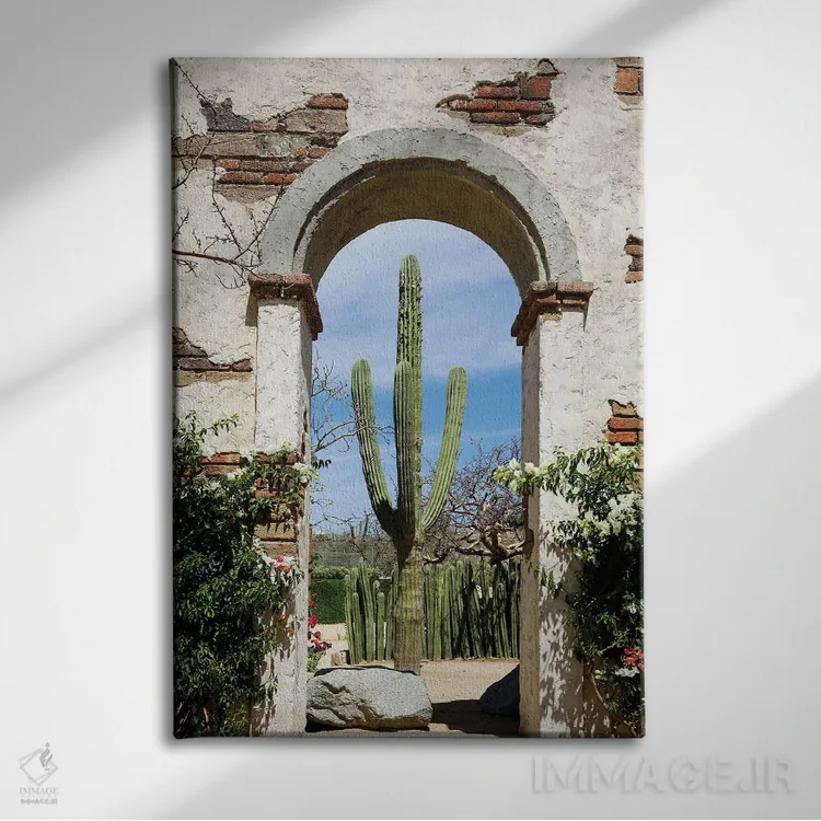 تابلو دکوراتیو Mexico.,کاکتوس در طاق ساختمان قدیمی، کابو سن لوکاس، مکز… اثر ژولین مک رابرتس - نمای روبهرو روی دیوار