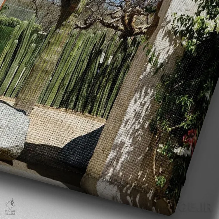 تابلو دکوراتیو Mexico.,کاکتوس در طاق ساختمان قدیمی، کابو سن لوکاس، مکز… اثر ژولین مک رابرتس - نمای نزدیک بافت بوم