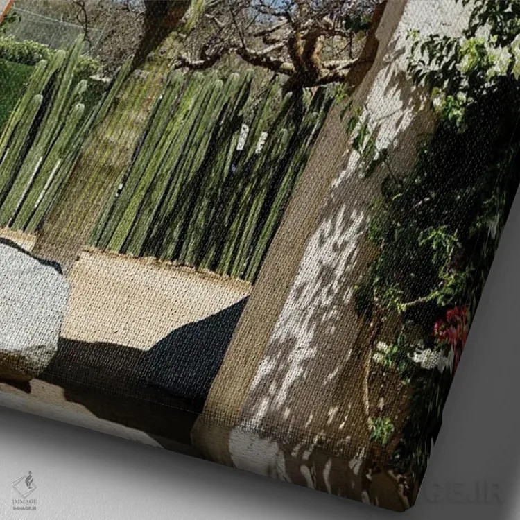 تابلو دکوراتیو Mexico.,کاکتوس در طاق ساختمان قدیمی، کابو سن لوکاس، مکز… اثر ژولین مک رابرتس - نمای نزدیک بافت بوم