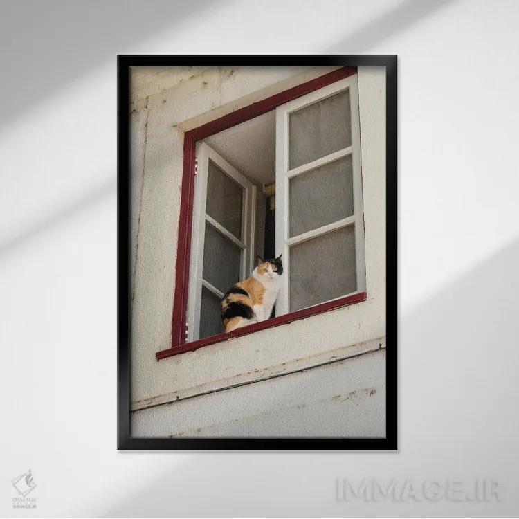 تابلو دکوراتیو Portugal. Cat Keeps An Eye On The Neighborhood.,کویمبرا… اثر ژولین مک رابرتس - نمای قابدار مشکی