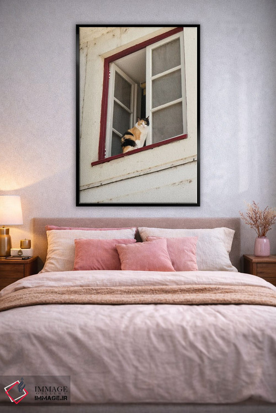 تابلو دکوراتیو Portugal. Cat Keeps An Eye On The Neighborhood.,کویمبرا… اثر ژولین مک رابرتس - D3B