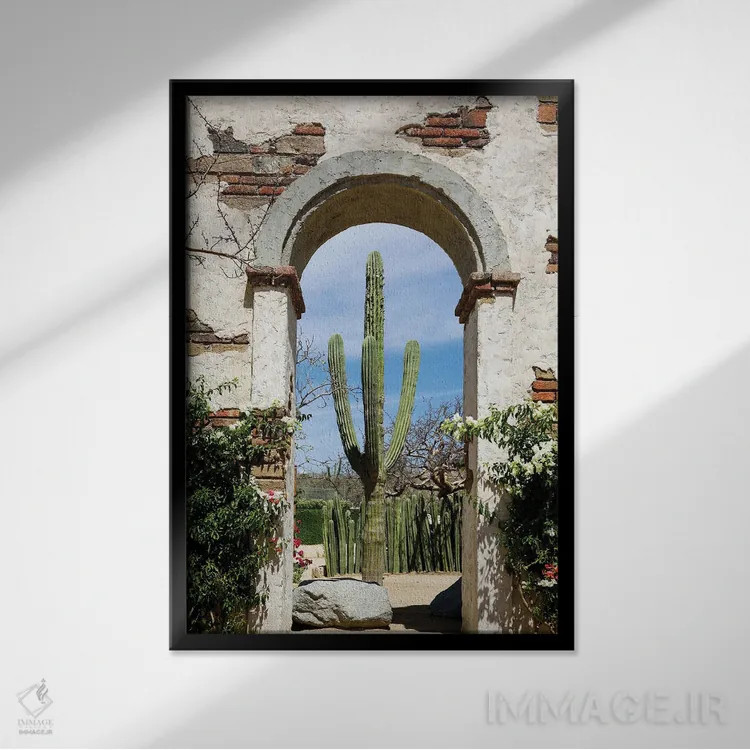 تابلو دکوراتیو Mexico.,کاکتوس در طاق ساختمان قدیمی، کابو سن لوکاس، مکز… اثر ژولین مک رابرتس - نمای قابدار مشکی