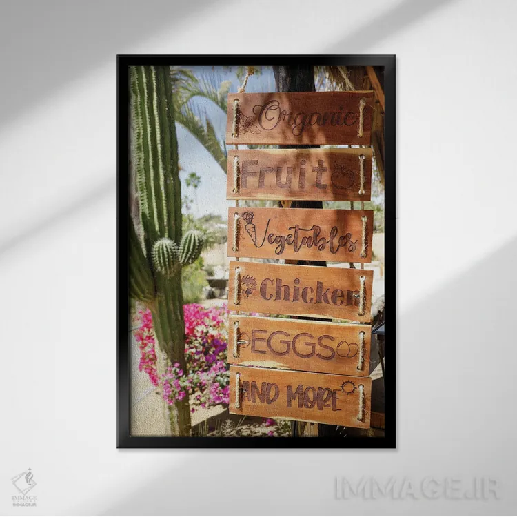 تابلو دکوراتیو Mexico.,تابلوی محصولات کشاورزی، کابو سن لوکاس، مکزیک اثر ژولین مک رابرتس - نمای قابدار مشکی