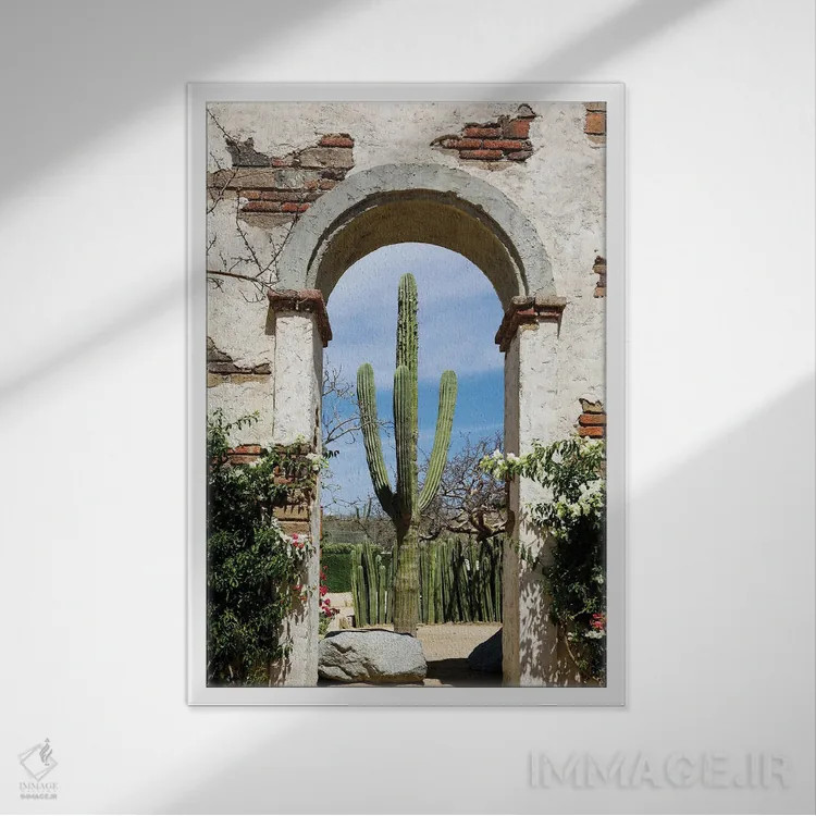 تابلو دکوراتیو Mexico.,کاکتوس در طاق ساختمان قدیمی، کابو سن لوکاس، مکز… اثر ژولین مک رابرتس - نمای قابدار سفید