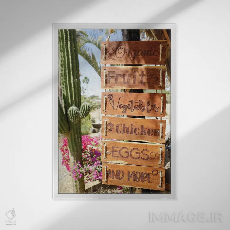 تابلو دکوراتیو Mexico.,تابلوی محصولات کشاورزی، کابو سن لوکاس، مکزیک اثر ژولین مک رابرتس - نمای قابدار سفید