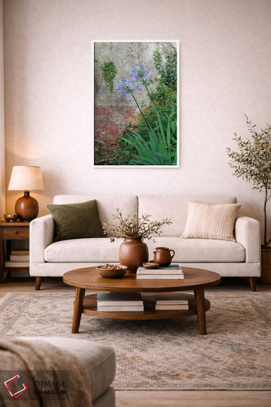 تابلو دکوراتیو Portugal. Flower In Garden.,کویمبرا، پرتغال. گلی در باغ اثر ژولین مک رابرتس - D1W