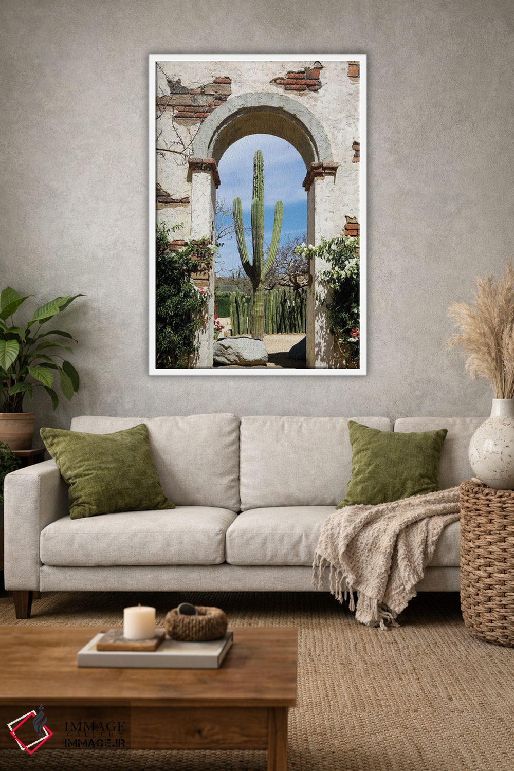 تابلو دکوراتیو Mexico.,کاکتوس در طاق ساختمان قدیمی، کابو سن لوکاس، مکز… اثر ژولین مک رابرتس - D1W