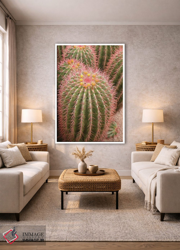 تابلو دکوراتیو Morocco. Beautiful Arid Garden Filled With Cacti, Succu… اثر ژولین مک رابرتس - D1W
