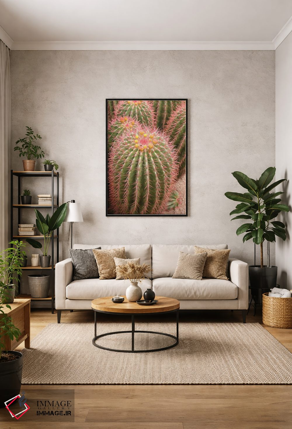 تابلو دکوراتیو Morocco. Beautiful Arid Garden Filled With Cacti, Succu… اثر ژولین مک رابرتس - D2B