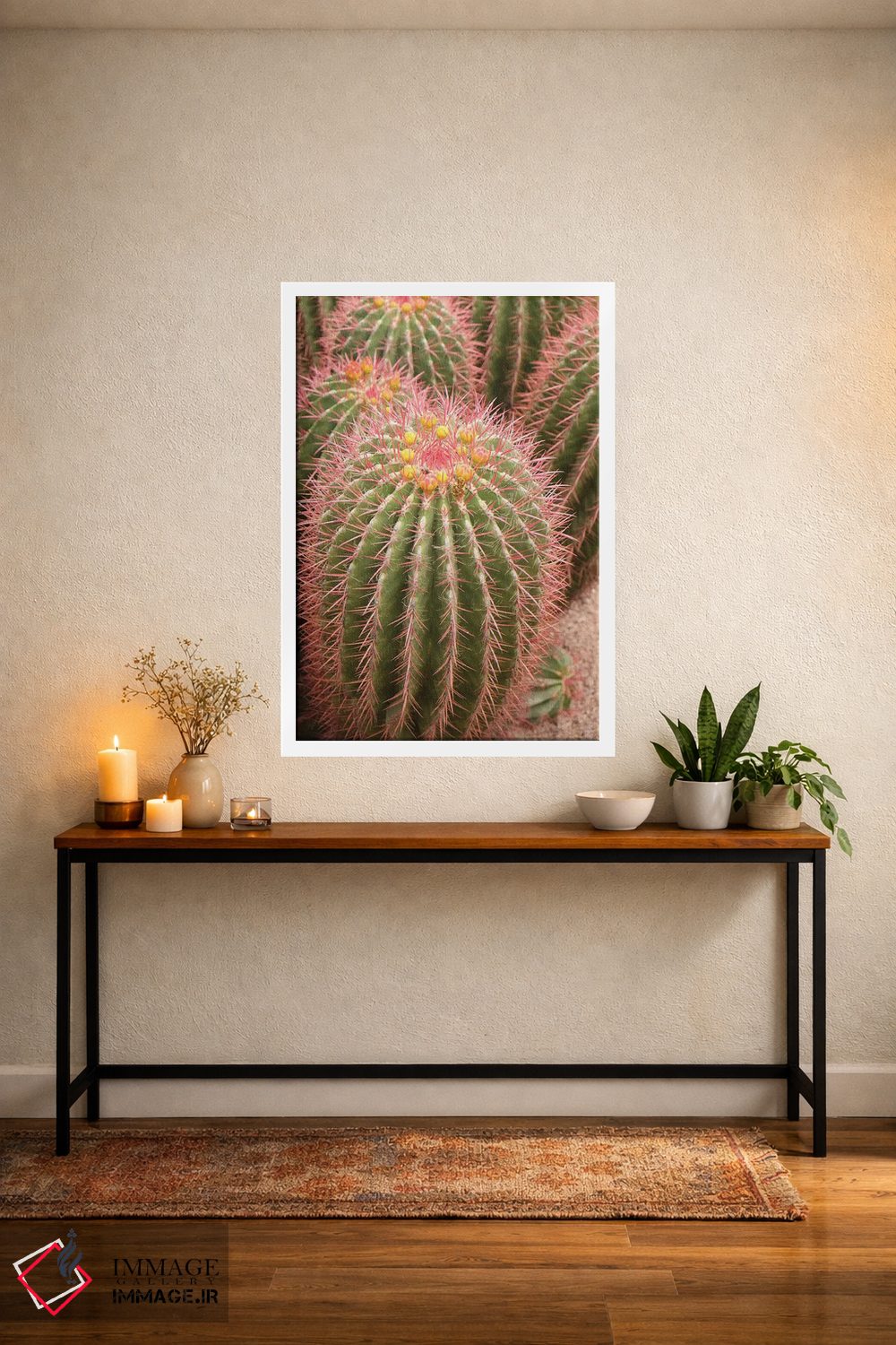 تابلو دکوراتیو Morocco. Beautiful Arid Garden Filled With Cacti, Succu… اثر ژولین مک رابرتس - D4W