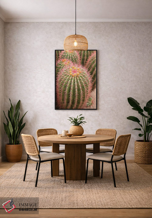 تابلو دکوراتیو Morocco. Beautiful Arid Garden Filled With Cacti, Succu… اثر ژولین مک رابرتس - D5B