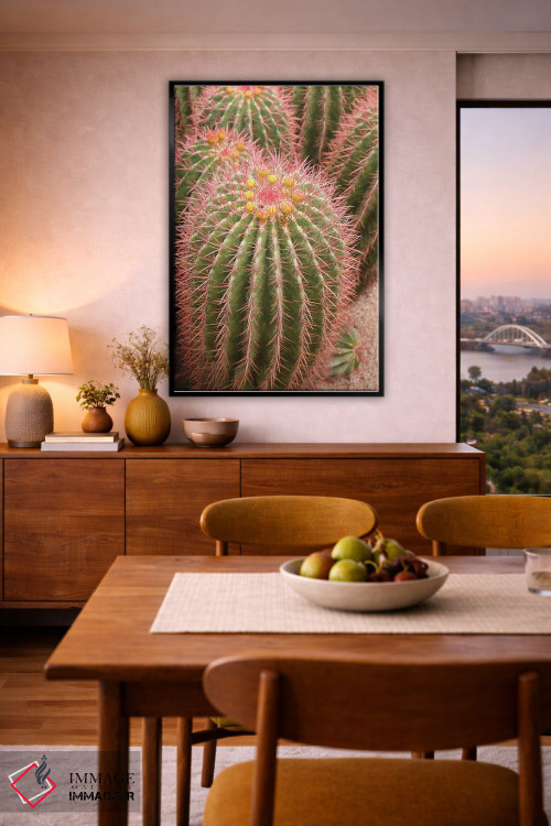 تابلو دکوراتیو Morocco. Beautiful Arid Garden Filled With Cacti, Succu… اثر ژولین مک رابرتس - D6B