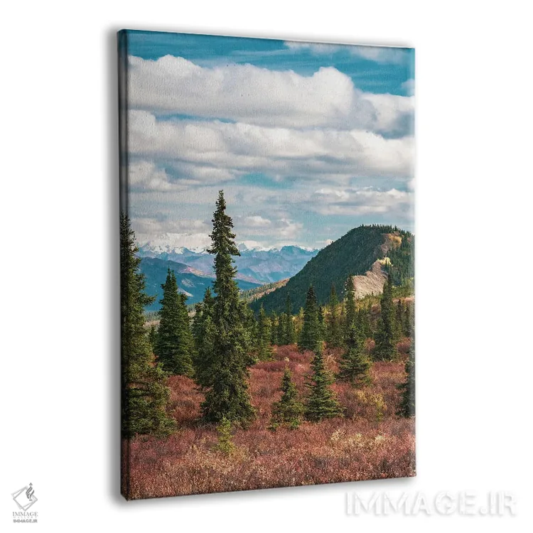 تابلو دکوراتیو Denali National Park Fall Landscape With Pine Trees And Mounta… اثر جنت مویر - نمای پرسپکتیو محصول