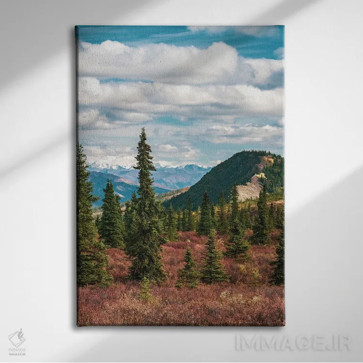 تابلو دکوراتیو Denali National Park Fall Landscape With Pine Trees And Mounta… اثر جنت مویر - نمای روبهرو روی دیوار