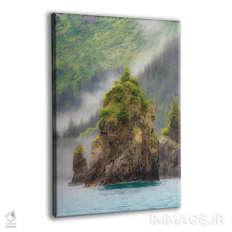 تابلو دکوراتیو Kenai Peninsula Scenic Landscape Of The Rocky Coast,آلاسکا، من… اثر جنت مویر - نمای پرسپکتیو محصول