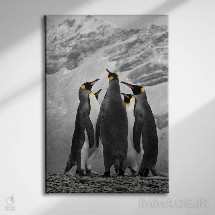 تابلو دکوراتیو A Conference Of King Penguins,جنوبگان، گردهمایی پنگوئن های شاه اثر جنت مویر - نمای روبهرو روی دیوار