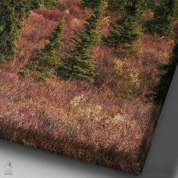 تابلو دکوراتیو Denali National Park Fall Landscape With Pine Trees And Mounta… اثر جنت مویر - نمای نزدیک بافت بوم