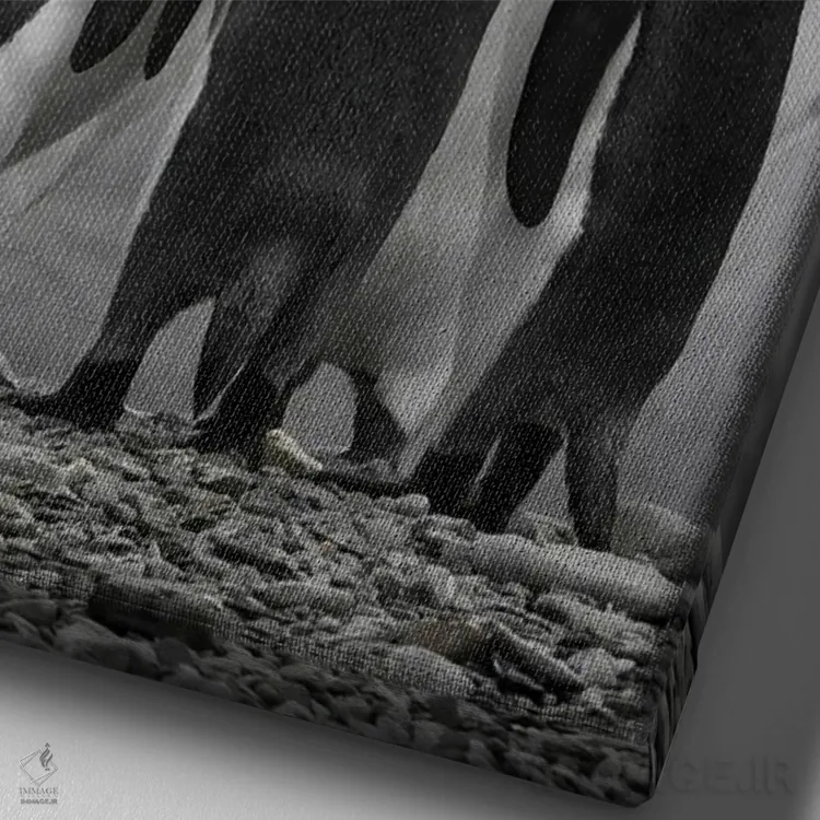 تابلو دکوراتیو A Conference Of King Penguins,جنوبگان، گردهمایی پنگوئن های شاه اثر جنت مویر - نمای نزدیک بافت بوم