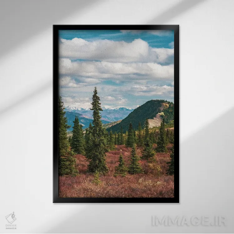 تابلو دکوراتیو Denali National Park Fall Landscape With Pine Trees And Mounta… اثر جنت مویر - نمای قابدار مشکی