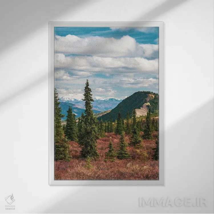 تابلو دکوراتیو Denali National Park Fall Landscape With Pine Trees And Mounta… اثر جنت مویر - نمای قابدار سفید