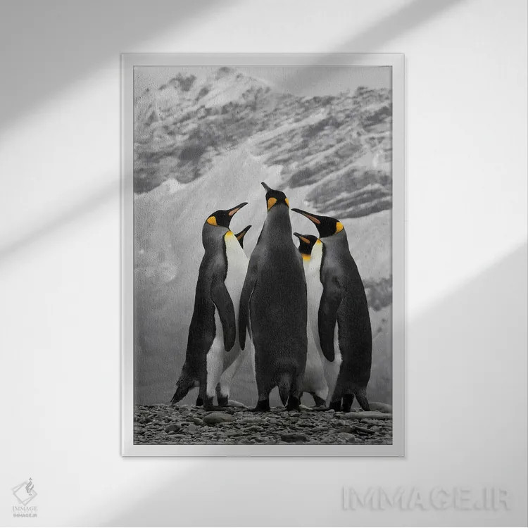 تابلو دکوراتیو A Conference Of King Penguins,جنوبگان، گردهمایی پنگوئن های شاه اثر جنت مویر - نمای قابدار سفید