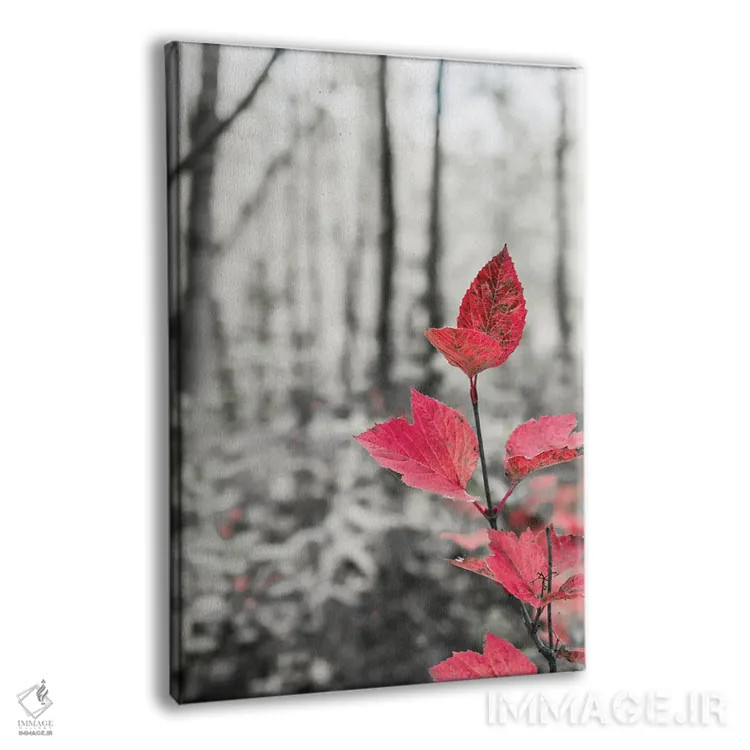 تابلو دکوراتیو شاخه درخت چنار در دل جنگل اثر جنت مویر - نمای پرسپکتیو محصول