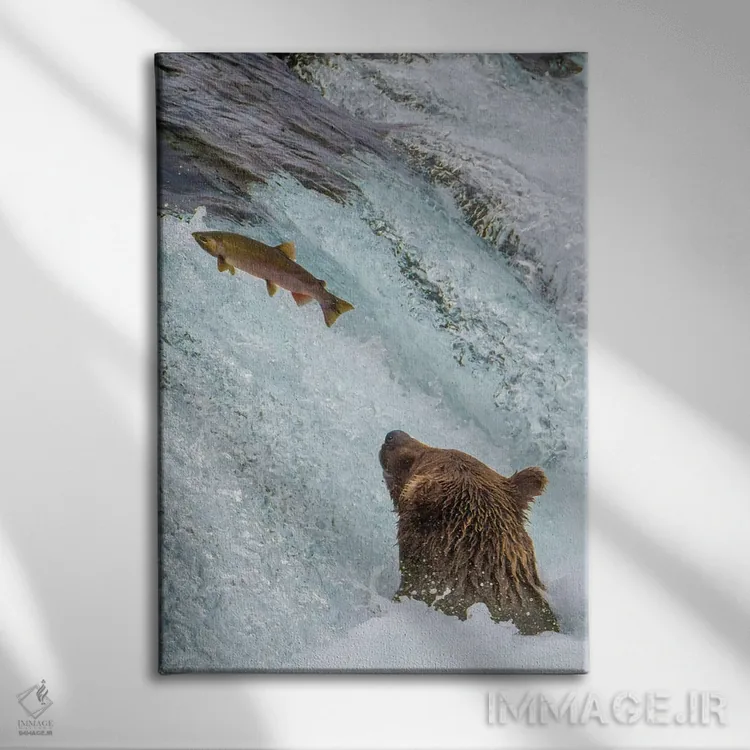 تابلو دکوراتیو Brooks Falls Grizzly Ear At The Base Of The Falls Watching A F… اثر جنت مویر - نمای روبهرو روی دیوار