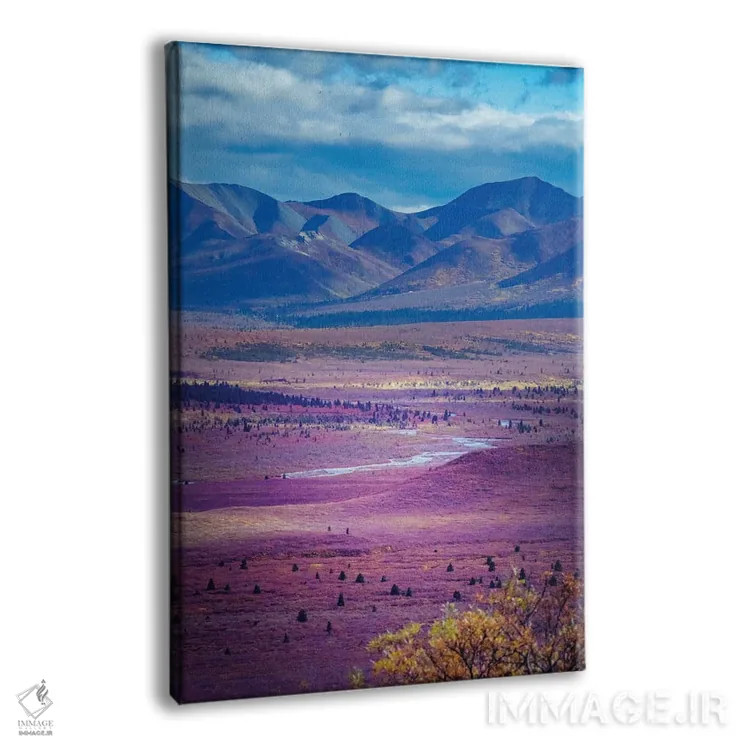 تابلو دکوراتیو Denali National Park Autumn Landscape Of Valley And Mountains… اثر جنت مویر - نمای پرسپکتیو محصول