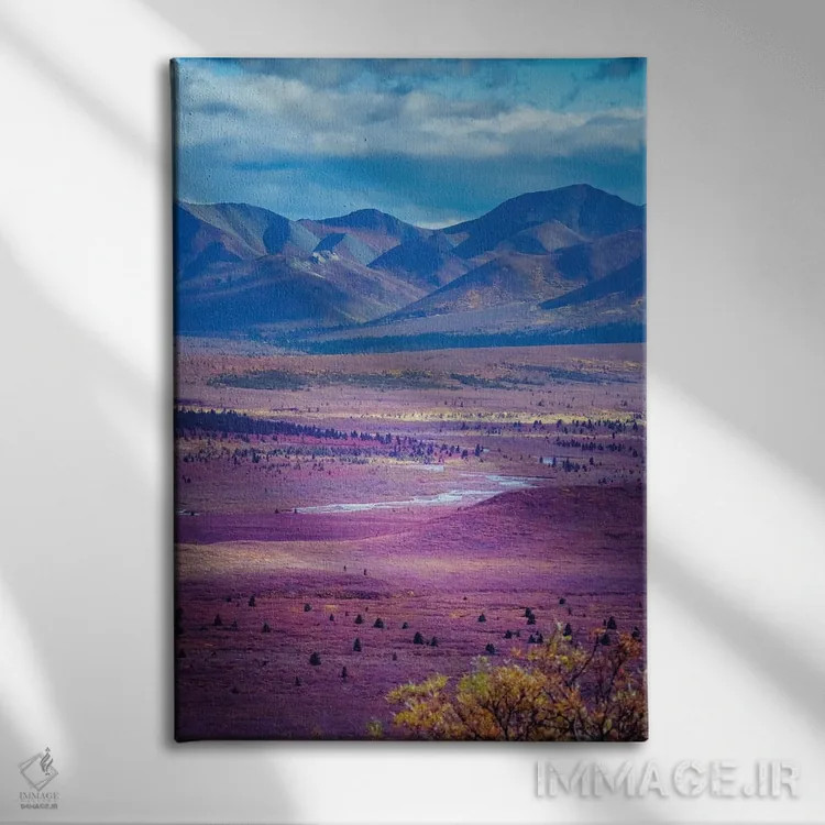 تابلو دکوراتیو Denali National Park Autumn Landscape Of Valley And Mountains… اثر جنت مویر - نمای روبهرو روی دیوار