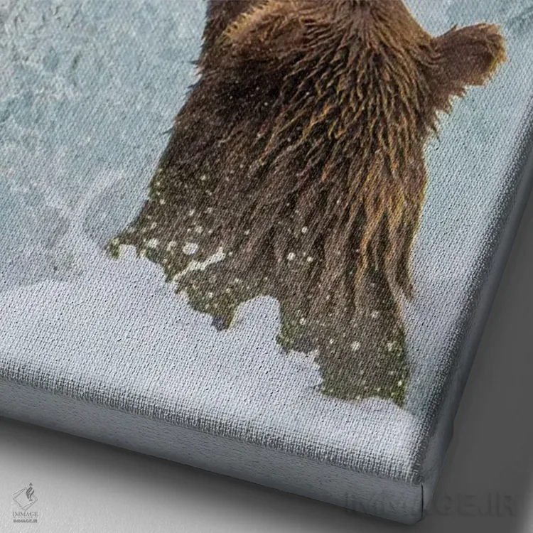 تابلو دکوراتیو Brooks Falls Grizzly Ear At The Base Of The Falls Watching A F… اثر جنت مویر - نمای نزدیک بافت بوم