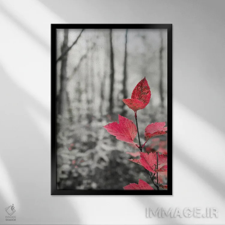 تابلو دکوراتیو شاخه درخت چنار در دل جنگل اثر جنت مویر - نمای قابدار مشکی