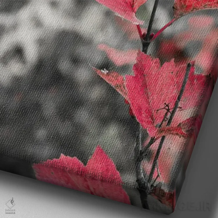 تابلو دکوراتیو شاخه درخت چنار در دل جنگل اثر جنت مویر - نمای نزدیک بافت بوم