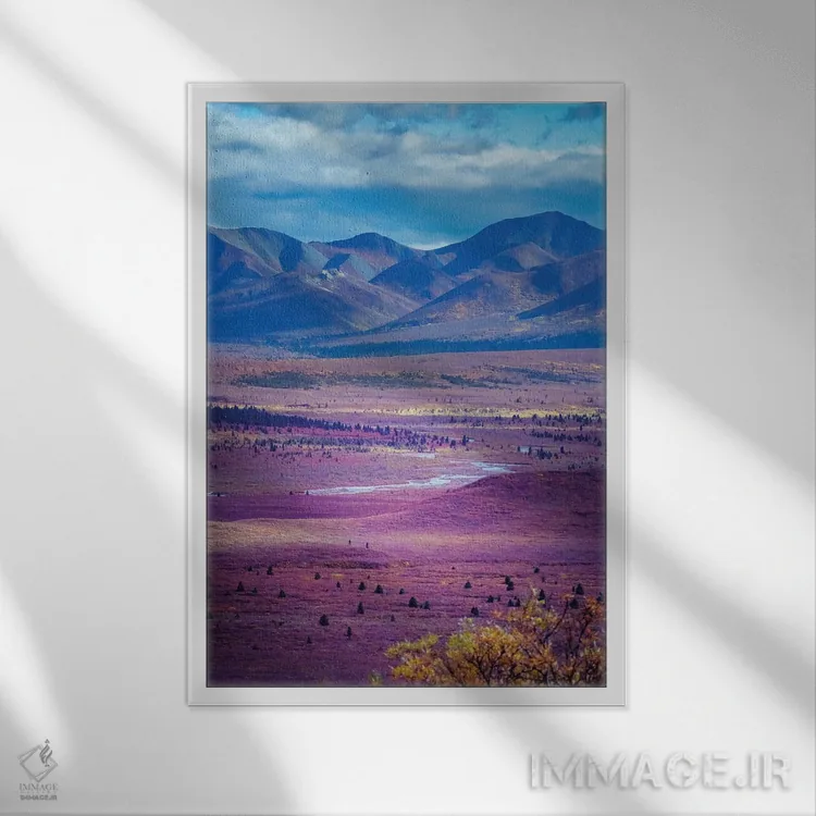 تابلو دکوراتیو Denali National Park Autumn Landscape Of Valley And Mountains… اثر جنت مویر - نمای قابدار سفید