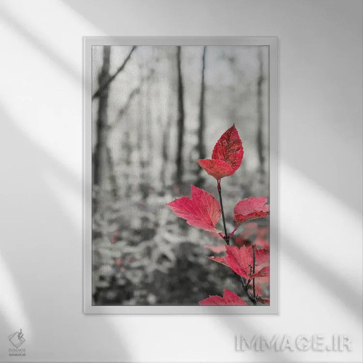 تابلو دکوراتیو شاخه درخت چنار در دل جنگل اثر جنت مویر - نمای قابدار سفید