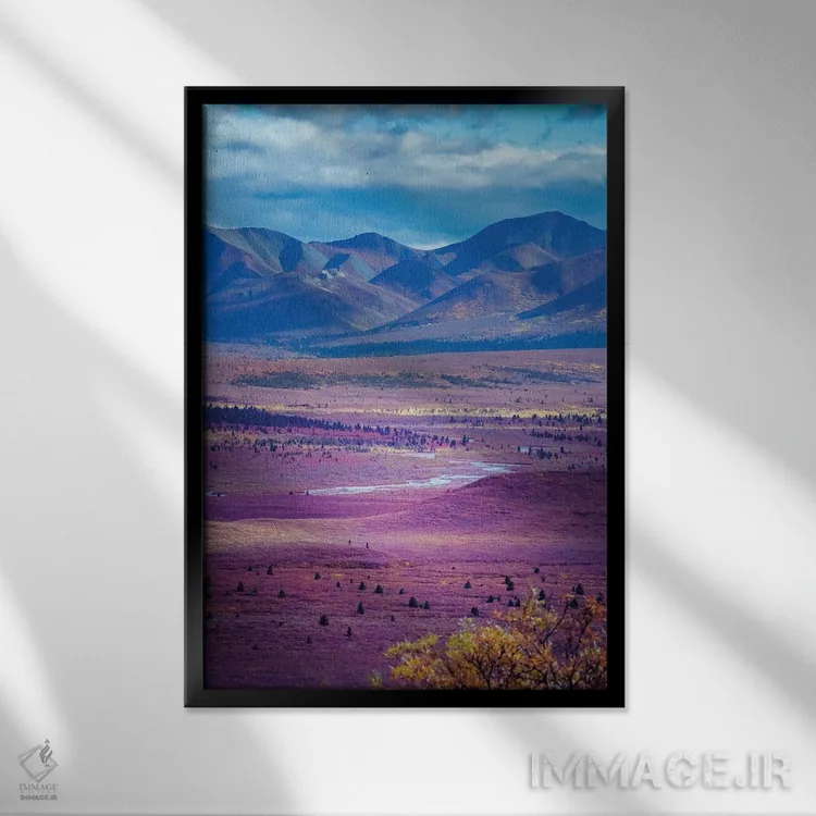 تابلو دکوراتیو Denali National Park Autumn Landscape Of Valley And Mountains… اثر جنت مویر - نمای قابدار مشکی