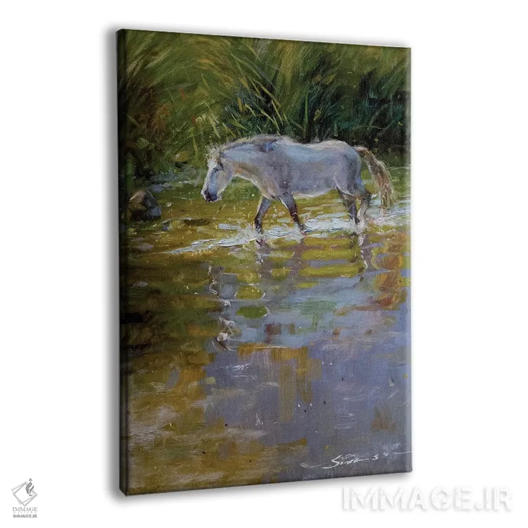 تابلو دکوراتیو اسب در آب اثر جیمز سوآنسون - نمای پرسپکتیو محصول
