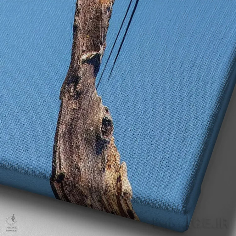 تابلو دکوراتیو دیدار مرغ مگس خوار اثر جیمیز - نمای نزدیک بافت بوم