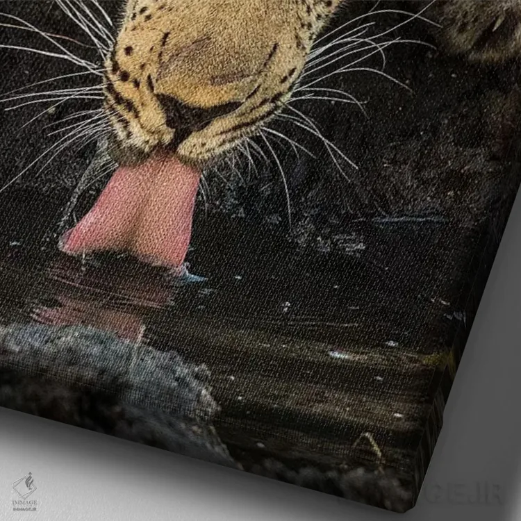 تابلو دکوراتیو پلنگ در حال استراحت اثر جیمیز - نمای نزدیک بافت بوم