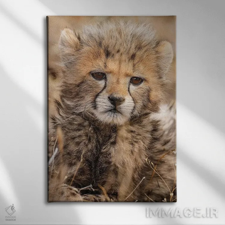 تابلو دکوراتیو یوزپلنگ کوچک اثر جیمیز - نمای روبهرو روی دیوار