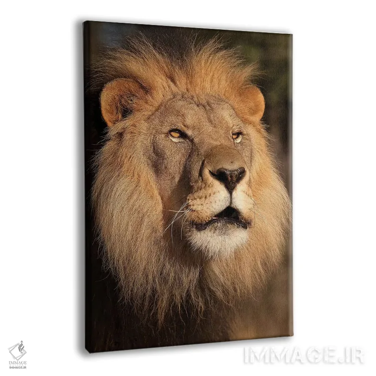 تابلو دکوراتیو شیر در غروب اثر جیمیز - نمای پرسپکتیو محصول