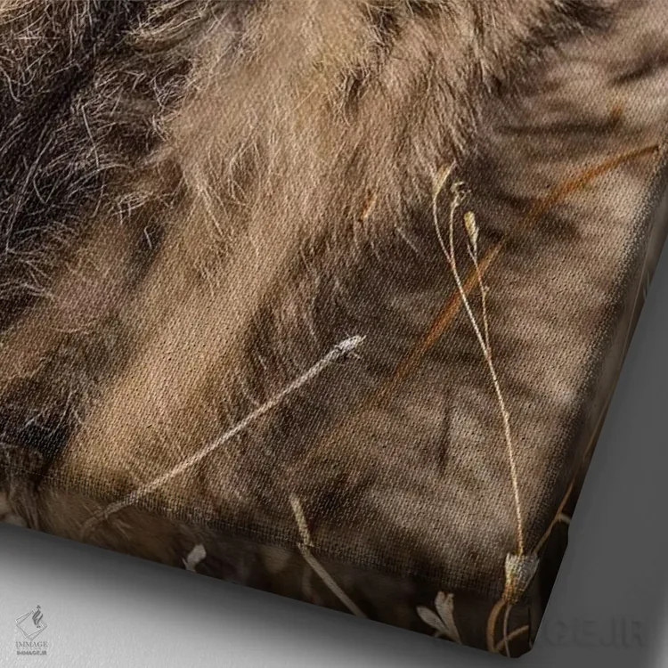 تابلو دکوراتیو یوزپلنگ کوچک اثر جیمیز - نمای نزدیک بافت بوم