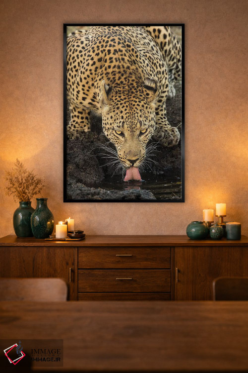 تابلو دکوراتیو پلنگ در حال استراحت اثر جیمیز - D2B