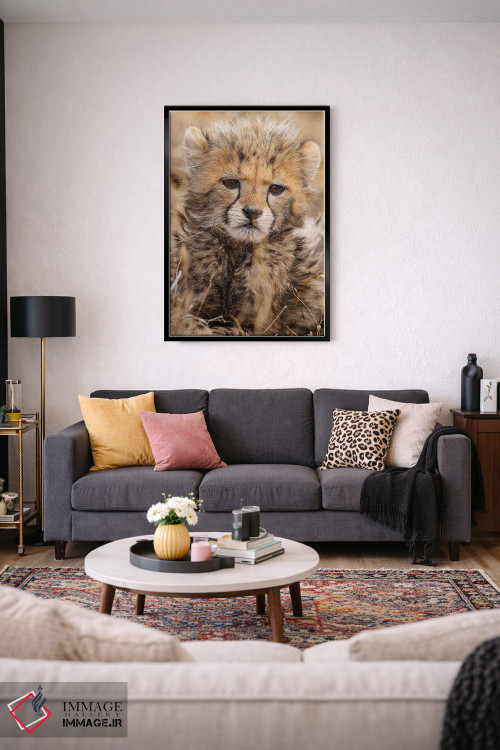 تابلو دکوراتیو یوزپلنگ کوچک اثر جیمیز - D4B