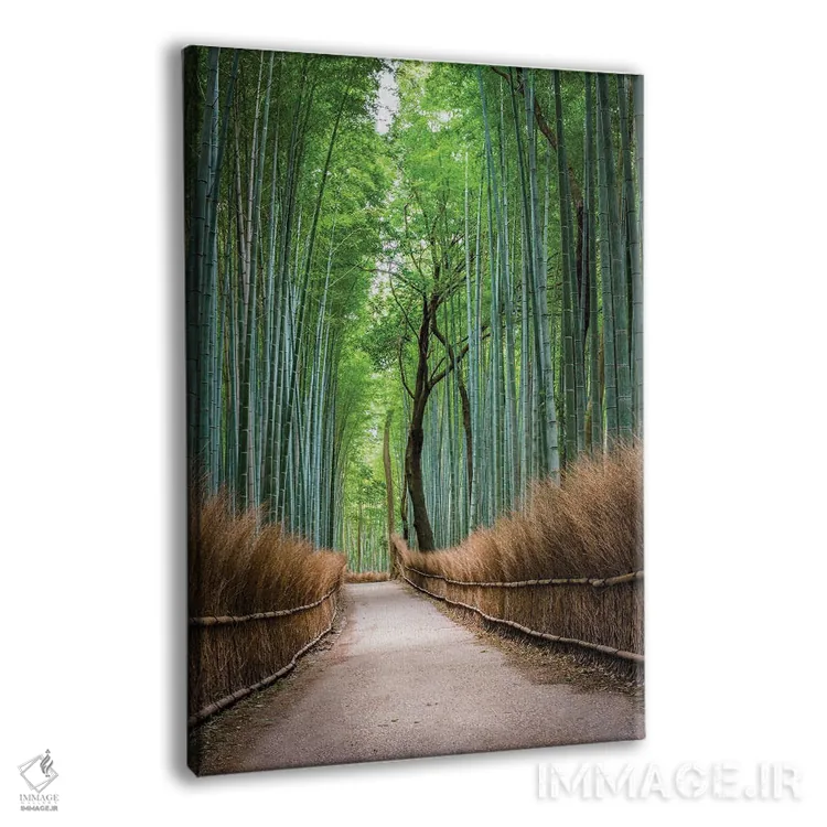 تابلو دکوراتیو Japan,جنگل بامبو آراشی یاما در کیوتو، ژاپن اثر یان بکه - نمای پرسپکتیو محصول