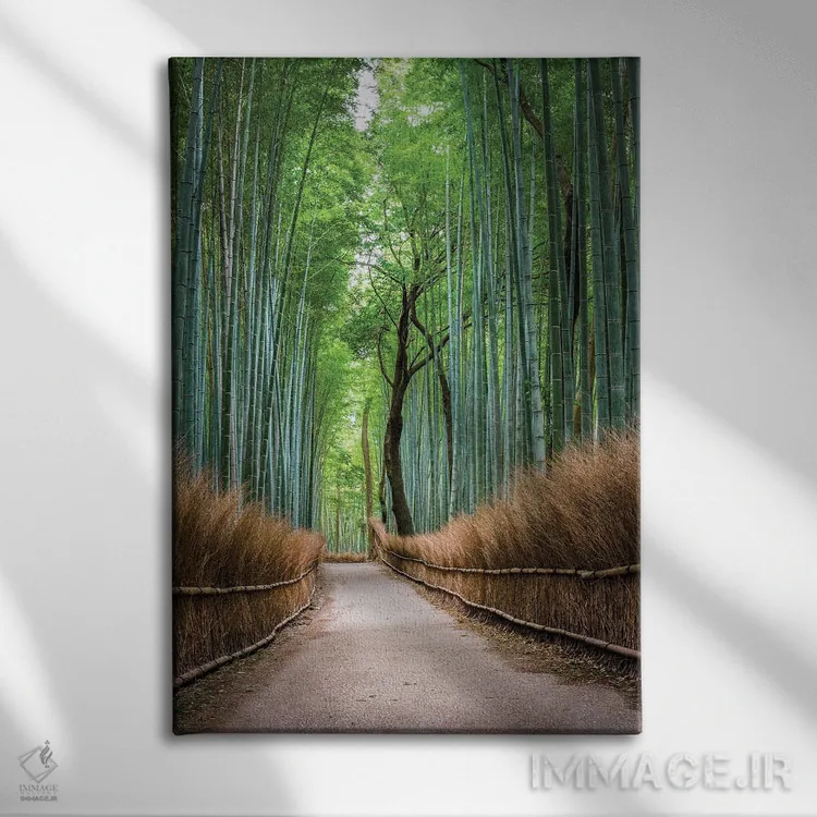تابلو دکوراتیو Japan,جنگل بامبو آراشی یاما در کیوتو، ژاپن اثر یان بکه - نمای روبهرو روی دیوار